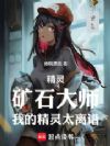 ���飺��ʯ��ʦ���ҵľ���̫����