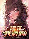 校花,我调的!