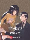 �ػ�2013����д����