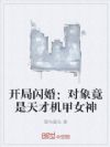 开局闪婚:对象竟是天才机甲女神