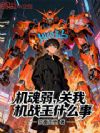 机魂弱,关我机战王什么事